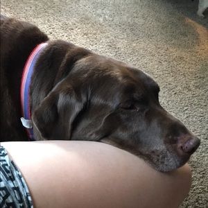 Meet your Posher, Megan